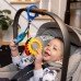 Підвіска Baby Einstein Touch of Nature 16886 фото 5