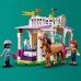 Конструктор LEGO Friends Тренування коня 134дет 41746 фото 3