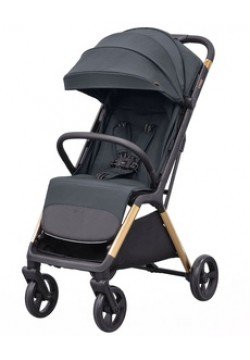 Коляска прогулянкова Carrello Cross CRL-5523 Eagle Grey