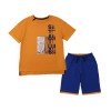 Комплект (футболка+шорты) 92-128 Фламинго 868-417-Коричневый/синий
