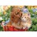 Пазл Maxi Clementoni Noli Cute Friends 104ел 25763 фото 2