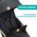 Коляска прогулянкова CHICCO Goody Plus Stroller 79877.57 фото 4